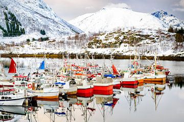 Vissersboten bij Sildpollneset in de Austnesfjorden in de Lofoten in Noorwegen