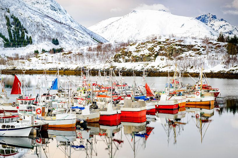 Vissersboten bij Sildpollneset in de Austnesfjorden in de Lofoten in Noorwegen van Sjoerd van der Wal Fotografie