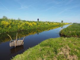 Polderlandschap bij Giessenburg by Beeldbank Alblasserwaard