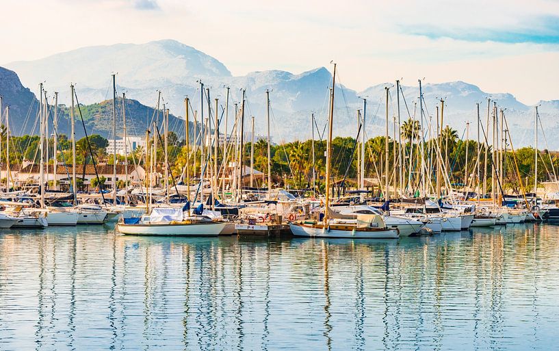 View at the marina on Mallorca, Spain Balearic islands by Alex Winter
