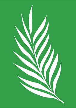 Minimalist Nature & Abstract Illustration Collection