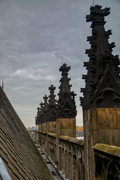 Walburgis roof by michel nolsen