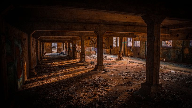 De oude steenfabriek van Brigitte Blaauw