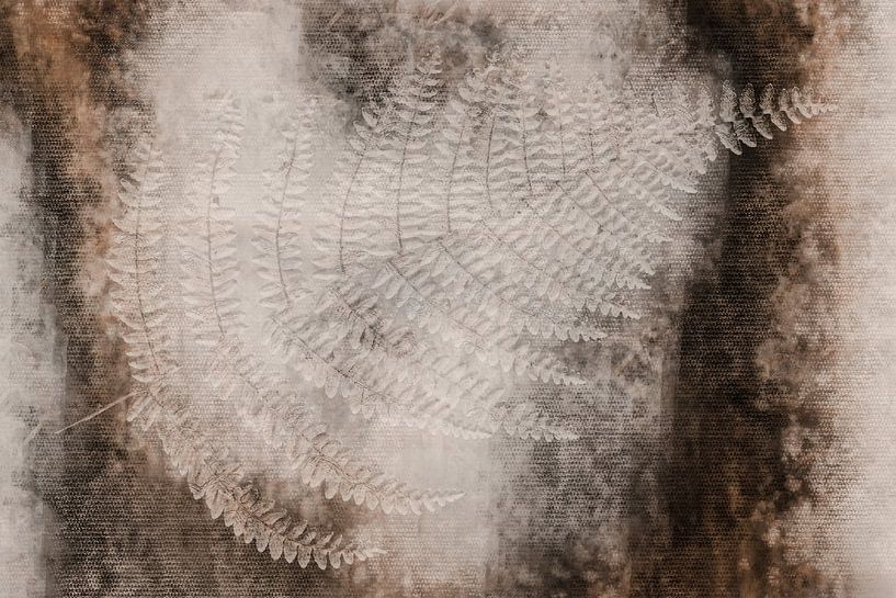 Fern fossil by Klaartje Majoor