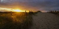 Sonne, Meer und Sand an der niederländischen Küste von Dirk van Egmond Miniaturansicht