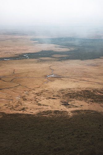 A bird's eye view of the vast savannah