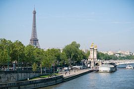 La Seine et la Tour Eiffel sur Luis Emilio Villegas Amador