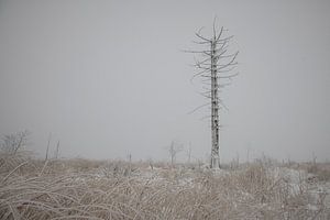 Winterspaß im Hohen Venn