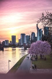 Kirschblüten in Frankfurt am Main | Skyline Fine Art Fotografie | Frühlings-Wandkunst | Deutschland Print von Natural Idde