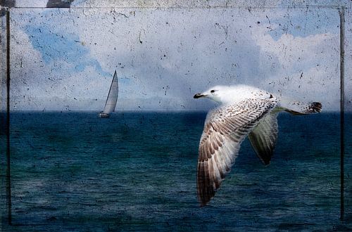 Maritime