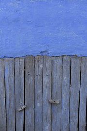 Blaue Wand mit Holzregalen