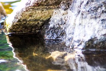 steen in water van Iris van der Veen