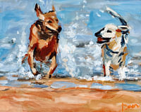 Honden aan zee