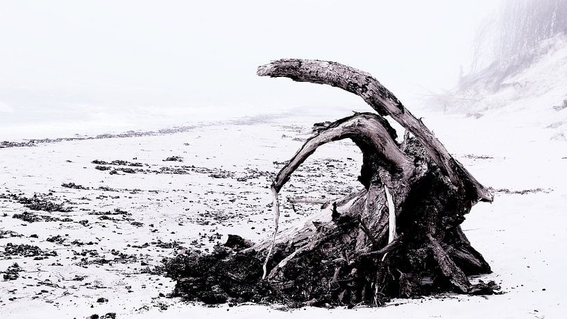 Mistig strand van Bertrand Bessin