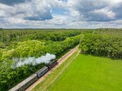 Steam train with smoke from the locomotive driving through the c by Sjoerd van der Wal Photography thumbnail