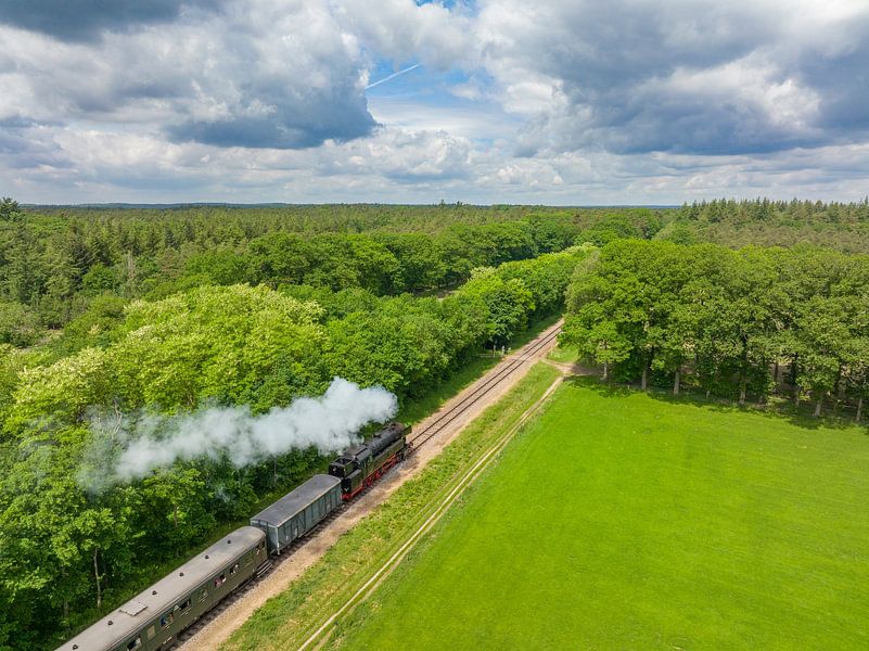 Steam train with smoke from the locomotive driving through the c by Sjoerd van der Wal Photography