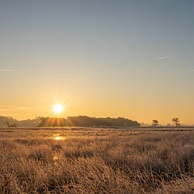 Zonsopkomst boven het Drents Friese Wold in de winter in Drenthe van Robin Verhoef