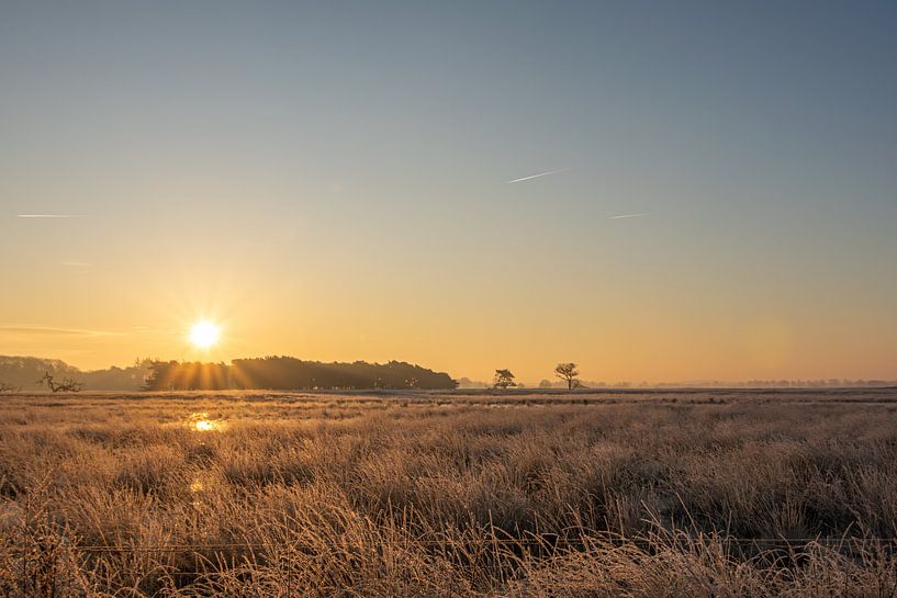 Sunrise over the Drents Friese Wold in winter in Drenthe by Robin Verhoef