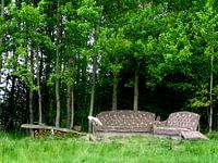 bench II