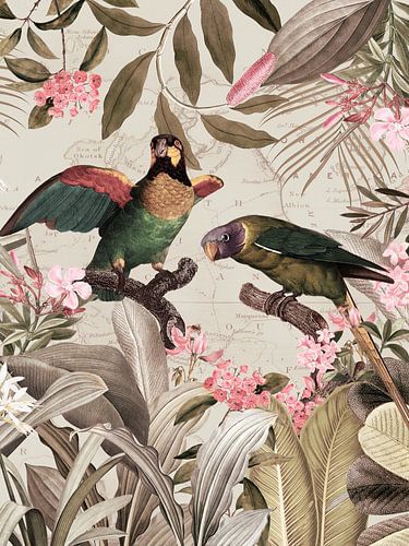 Perroquets exotiques colorés nostalgiques dans une jungle tropicale 2