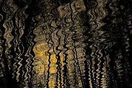 Reflection of sunlight and trees in undulating water by Kristof Lauwers