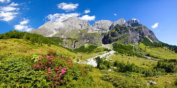 L'ivresse des alpages dans la région du Hochkönig sur Christa Kramer