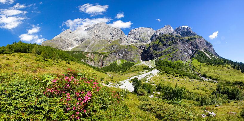 Almrausch in the Hochkönig region by Christa Kramer