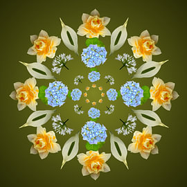 Fleur 5 sur Joke ten Veen