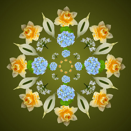 Blume 5