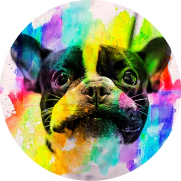 Hondenportret in felle kleuren van Mad Dog Art