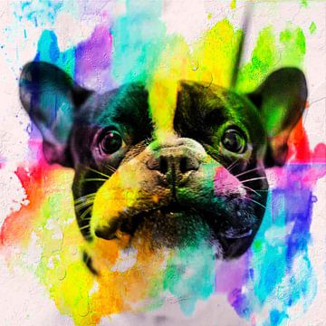 Portrait de chien aux couleurs vives sur Mad Dog Art