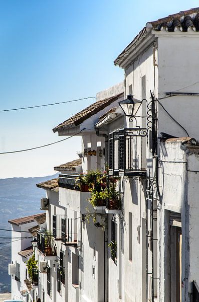 Facades white houses in Mijas Andalucia Spain by Dieter Walther