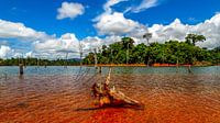 Het Brokopondomeer in Suriname