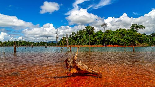Lac Brokopondo au Suriname