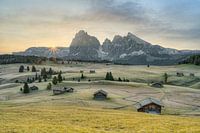 Lever de soleil sur l'Alpe de Siusi en automne