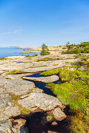 Felsen und Bäume an der Küste der Insel Rossö nahe Strömstad