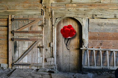 The Bollen hat at the stable 1.1