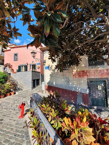 Madeira #29 by zam art