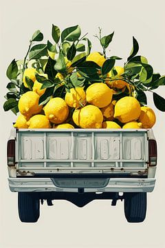 Ramassage des citrons sur Mosaic Dialogue