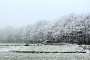 Winterwonderland