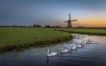Hollands plaatje van Richard Reuser