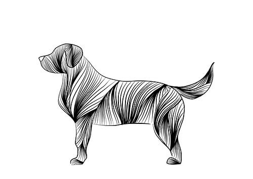 Poster hond - zwart wit - dieren - kinderkamer