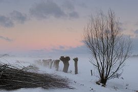 Voskuilen in Winterse Tooi.  van Willem van Leuveren Fotografie