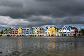 Gekleurde huizen bij de Rietplas in Houten