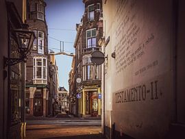 Leiden, stad in Zuid Holland van Dirk van Egmond