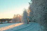 La belle courbe de l'hiver
