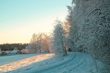 De prachtige kromming van de winter van Inspiration