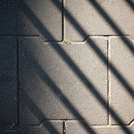 Schaduw op de stoep van Dion de Bakker
