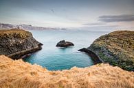 Bijzondere kustlijn in IJsland von Marcel Alsemgeest Miniaturansicht