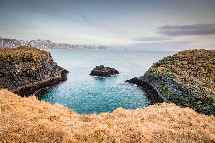 Bijzondere kustlijn in IJsland von Marcel Alsemgeest
